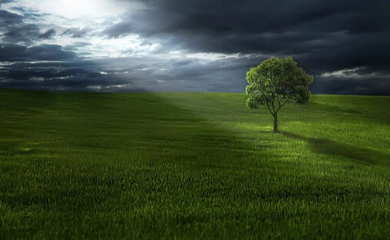 promień światła przebijający się przez ciemne chmury, oświetlający drzewo na zielonej polanie.